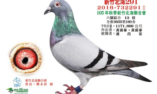 哺乳期乳头里面有颗粒是什么情况网哺乳期乳头破裂严重知识网站,分享哺乳期乳头溃疡大全
